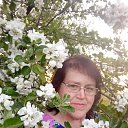 ���� ������, ������, 62 ���� - ��������� 13 ��� 2023 � ������ ���� ����������