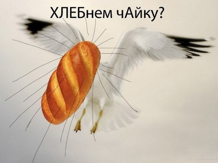   - 16  2023  21:49