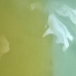 �����, �����, 33 ����