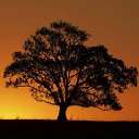 ���� �������, ��������, 53 ���� - ��������� 25 ���� 2023 � ������ ���� ����������