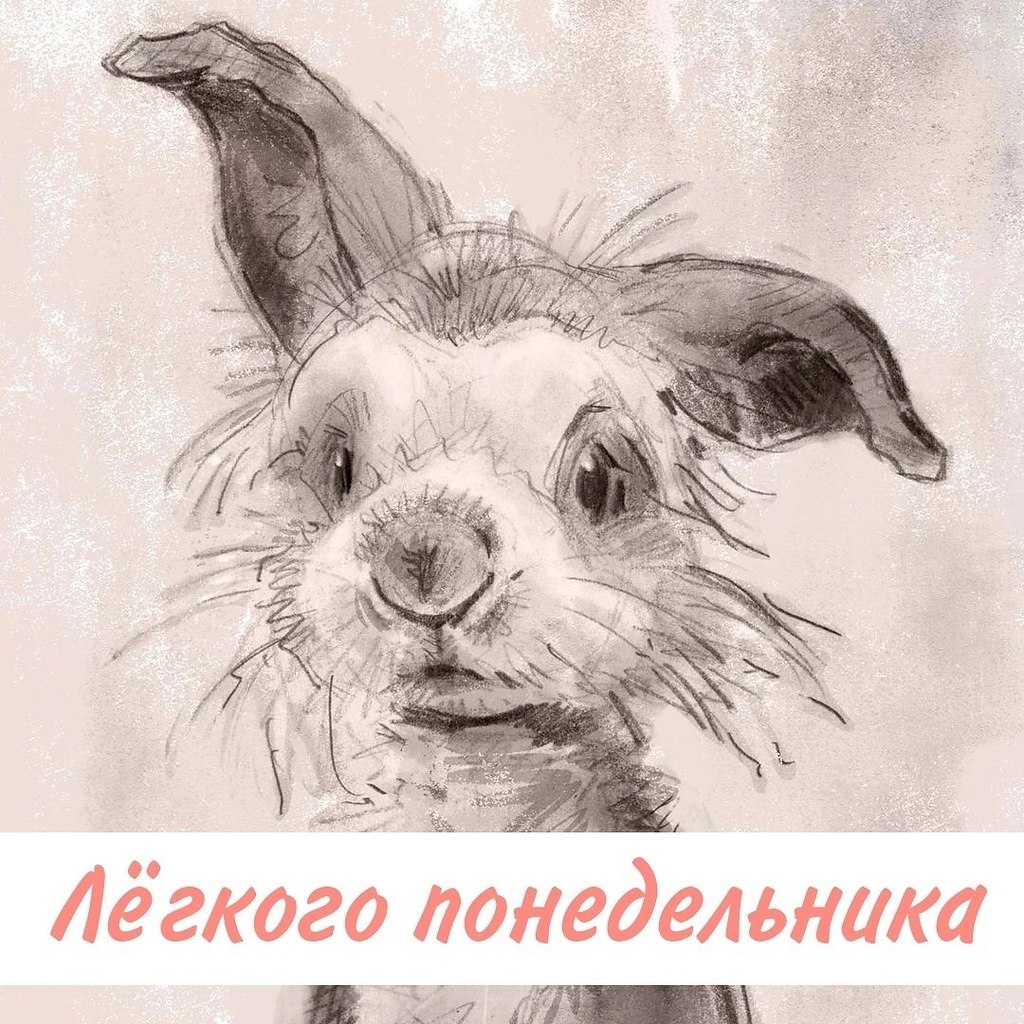" ") - 17  2023  08:09