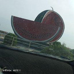 ������, �����, 33 ����