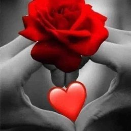 ���, ������, 41 ���