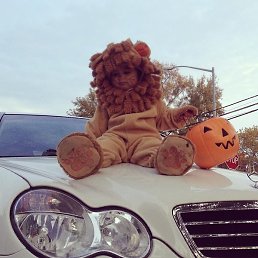 Vggg, �����������, 29 ���