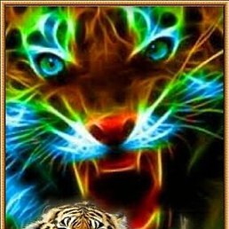 Nh, ������, 66 ���