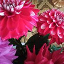 ���� ������, ���������, 82 ���� - ��������� 15 ������ 2023 � ������ ���� ����������