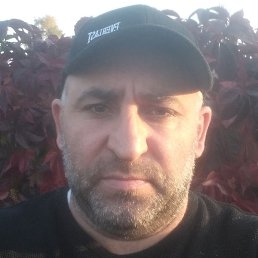 �����, ������, 41 ���