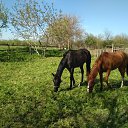 ���� �����, ����������, 37 ��� - ��������� 2 �������� 2023