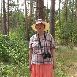 ����, �������, 74 ����