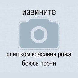 Vilki, ���������, 23 ����