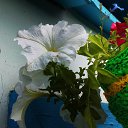 ���� ��������, ���������� - ��������� 28 ��� 2023 � ������ ���� ����������