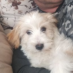 �����, ����������, 47 ���