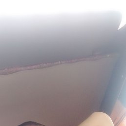 Zevar 91, ������, 34 ����