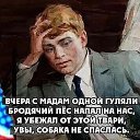 ���� �������, ����-�����������, 52 ���� - ��������� 12 ��� 2023 � ������ ���� ����������