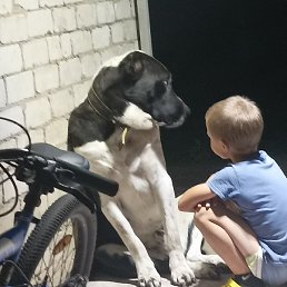 ��������, ������, 42 ����