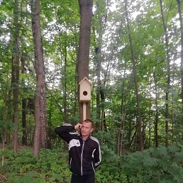 �����, ������, 34 ����