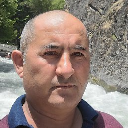 �����, �����-���������, 53 ����