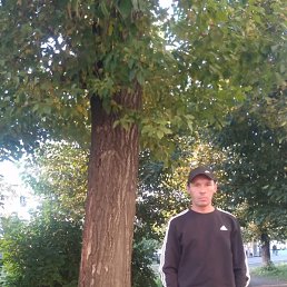 ����, ������, 36 ���