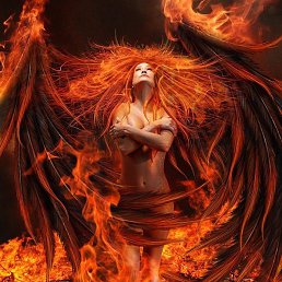 �����, ������, 36 ���