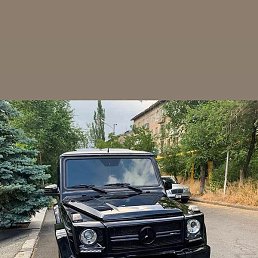 Ani, �������, 35 ���