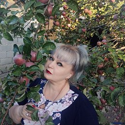 ���� ����, ������, 54 ���� - ��������� 2 ������� 2023