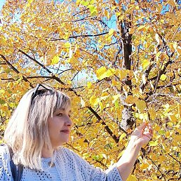 �������, ������, 48 ���