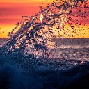 ���� �����, �����������, 43 ���� - ��������� 24 ������ 2023 � ������ ���� ����������