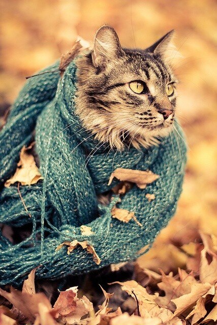  . . . .~~~ ~ ~~~ ~ ~~~ ~ ~~~ ~ ~~~ - 4