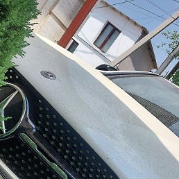 Joni, ������, 28 ���