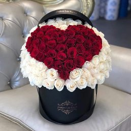 ���� �����, ����, 37 ��� - ��������� 7 ���� 2023