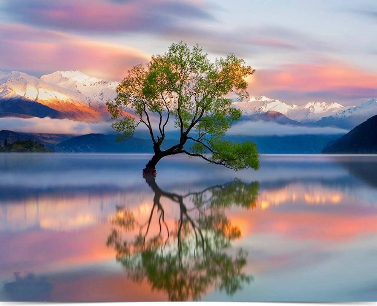   ""  ,   !.. ~~~~~~~~~~