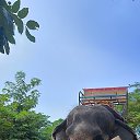 ���� ������, ������������, 46 ��� - ��������� 19 ������� 2023 � ������ ���� ����������