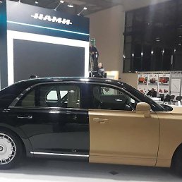 �������, �����, 45 ���