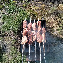 ������, ���������, 36 ���