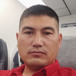 ����, �����-���������, 37 ���