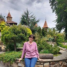 �������, ������, 50 ���