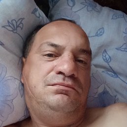 ����, ������, 44 ����