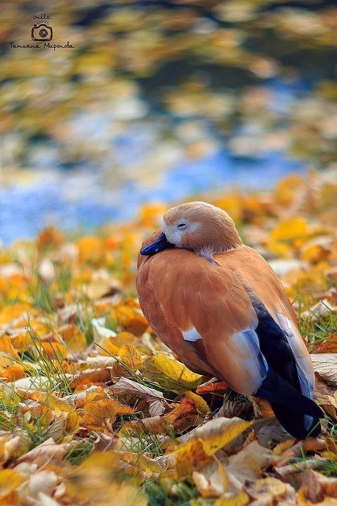  ,   ...     ... ~~~~~~~~~~~~~~~ - 5