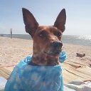 ���� �����, �����-���������, 51 ��� - ��������� 3 ����� 2023