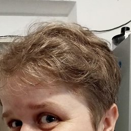 ����, ��������, 43 ����