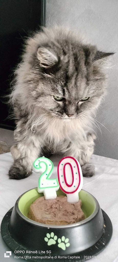 �������� ���� ������� � ������ ��� ���������� �����)