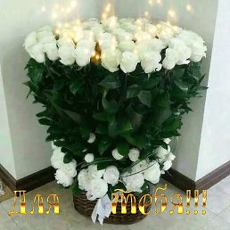 ����, �����-���������, 40 ���