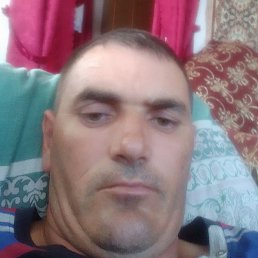 ���������, ���������, 46 ���