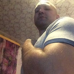 ��������, �����, 44 ����