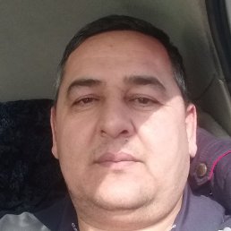 ����, ������, 46 ���