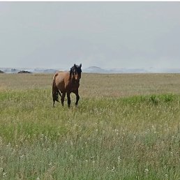 ���� �����, ������, 46 ��� - ��������� 8 ������� 2023