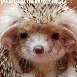 ���� ������, �������, 64 ���� - ��������� 29 �������� 2023