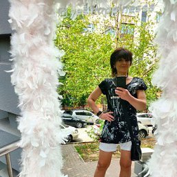 ���� ������, �����������, 49 ��� - ��������� 20 ���� 2023