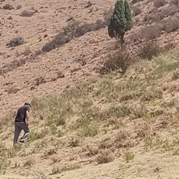 �����, �����, 39 ���