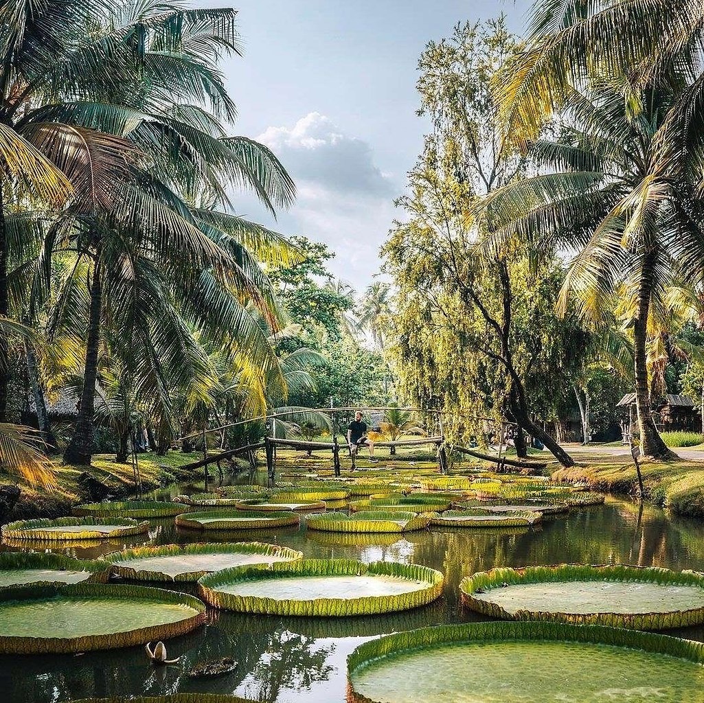 Binh Quoi Village, Vietnam.